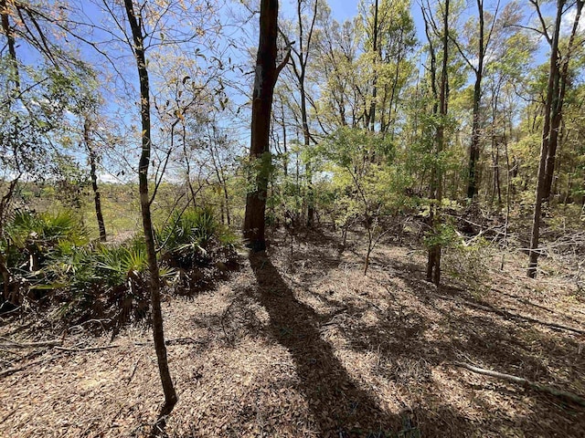 VACANT NW 6th St, Bell, FL 32619