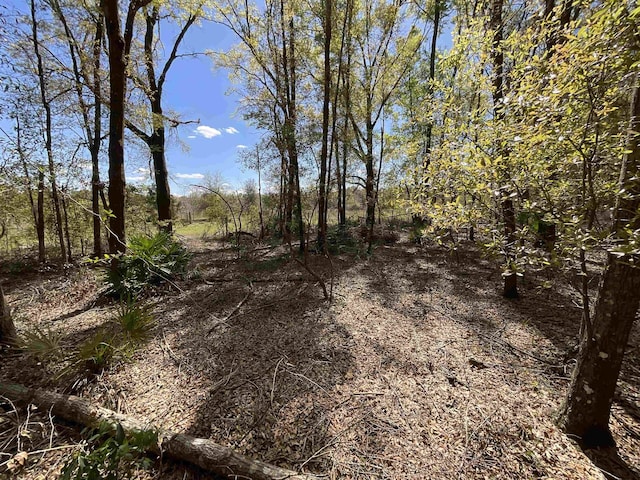 VACANT NW 6th St, Bell, FL 32619