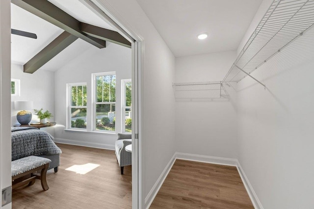 walk in closet with vaulted ceiling with beams, hardwood / wood-style flooring, and ceiling fan