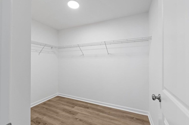 walk in closet featuring hardwood / wood-style floors