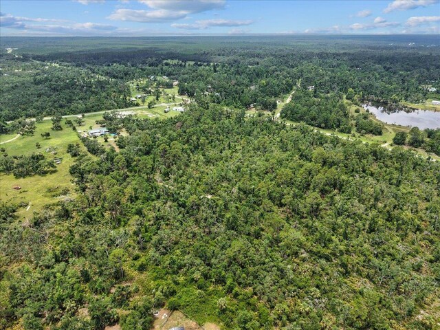 0 Spring Warrior Rd, Keaton Beach, FL 32348 - photo 4
