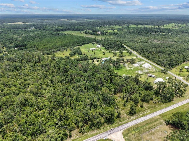 0 Spring Warrior Rd, Keaton Beach, FL 32348 - photo 7