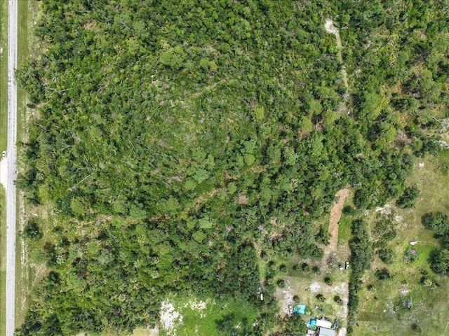 0 Spring Warrior Rd, Keaton Beach, FL 32348 - photo 3