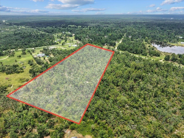 0 Spring Warrior Rd, Keaton Beach, FL 32348 - photo 2
