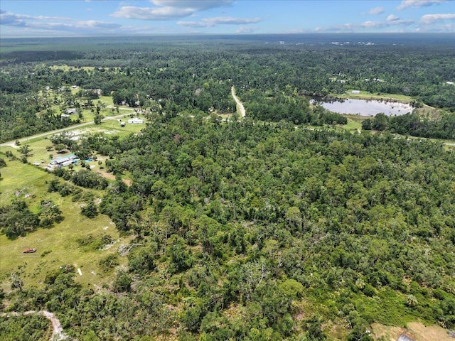 0 Spring Warrior Rd, Keaton Beach, FL 32348 - photo 6