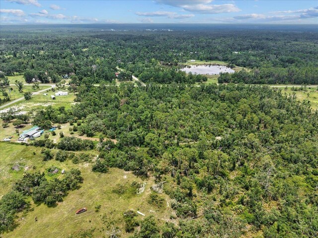 0 Spring Warrior Rd, Keaton Beach, FL 32348 - photo 5