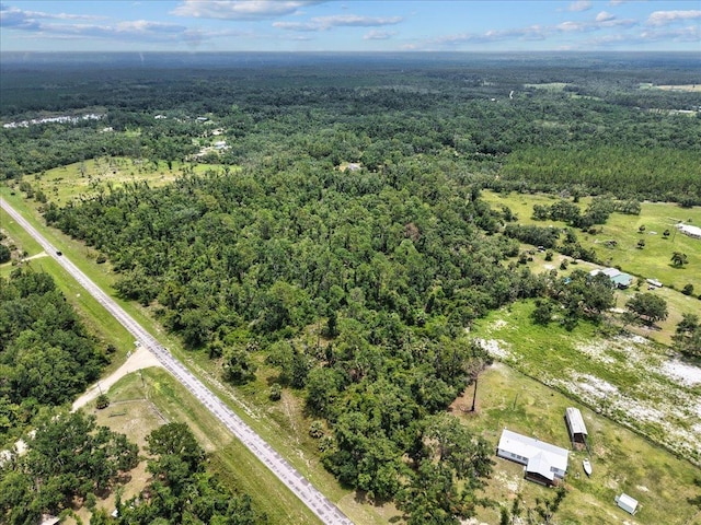 0 Spring Warrior Rd, Keaton Beach, FL 32348 - photo 8