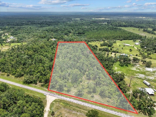 0 Spring Warrior Rd, Keaton Beach, FL 32348 - photo 1
