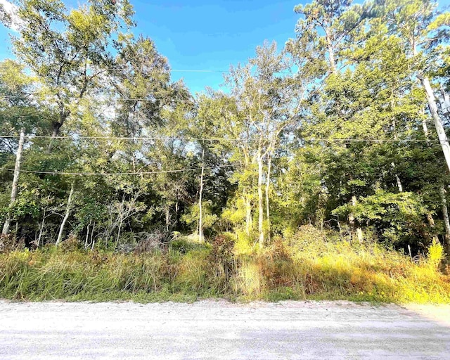 Choctaw Rd, Crawfordville FL, 32327 land for sale