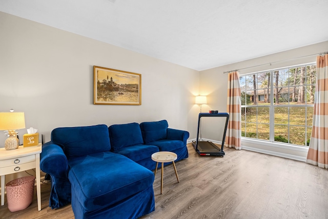 living room featuring baseboards and wood finished floors