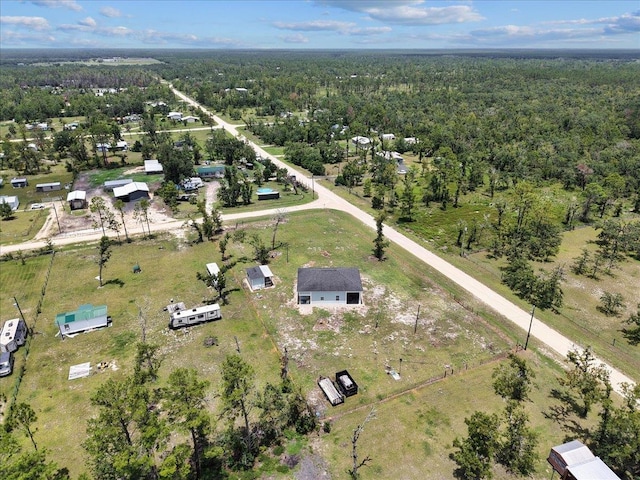 16355 E Royal Oak Dr, Perry, FL 32348 - photo 41