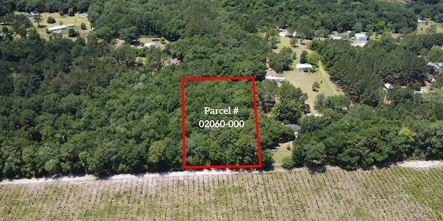 0 Charles Sadler Ln, Perry FL, 32347 land for sale