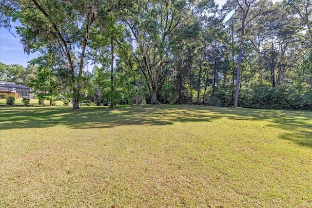 8017 Oak Grove Plantation Rd, Tallahassee, FL 32312 - view of green lawn