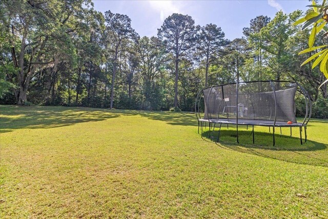 8017 Oak Grove Plantation Rd, Tallahassee, FL 32312 - view of grassy yard featuring a trampoline
