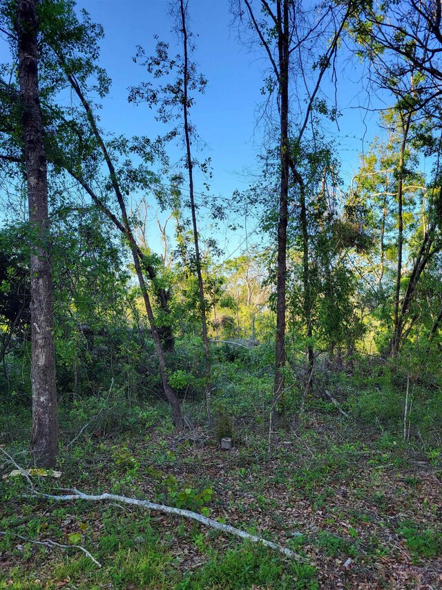 LOT21 Canopy Ln, Perry, FL 32347 - photo 4