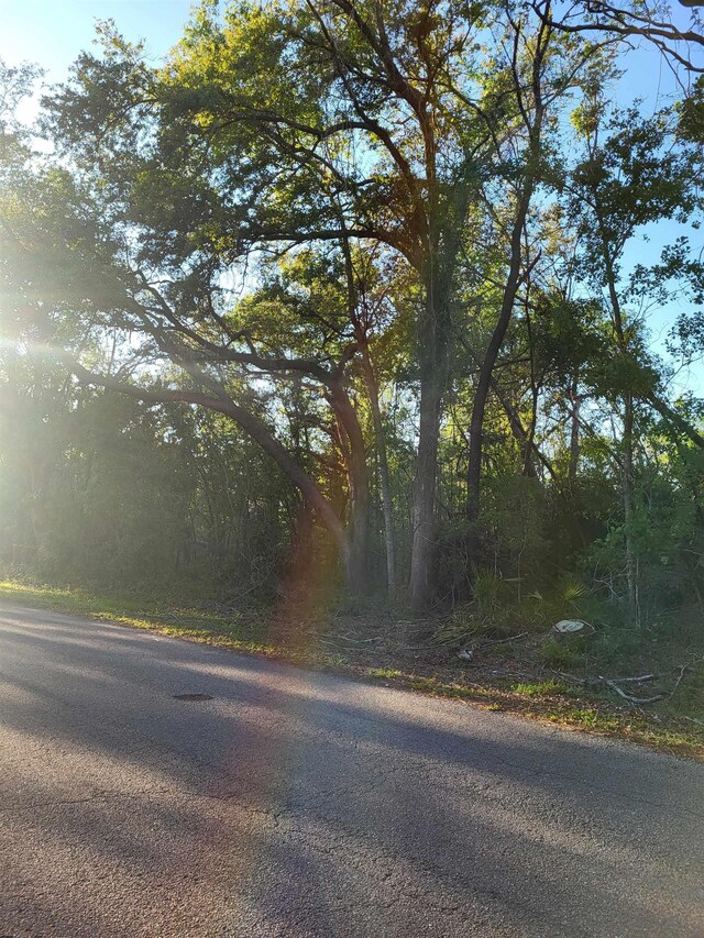 LOT21 Canopy Ln, Perry, FL 32347 - photo 5