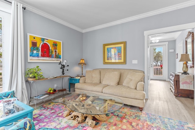 living room featuring crown molding and light hardwood / wood-style flooring