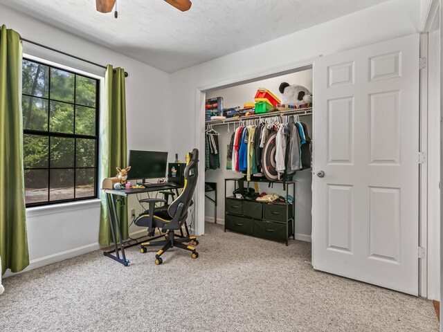 39 Joneswood Trl, Crawfordville, FL 32327 - photo 38