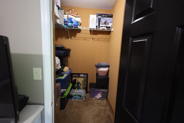 325 Mine Rd, Midway, FL 32343 - spacious closet with carpet