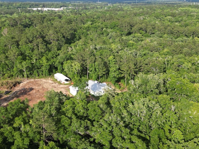 325 Mine Rd, Midway, FL 32343 - view of property location featuring a forest