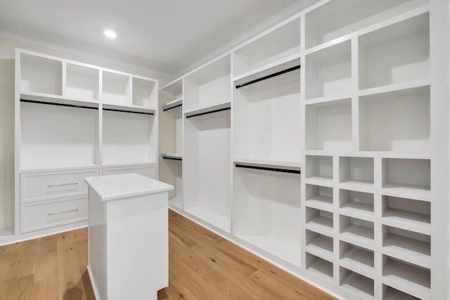 walk in closet featuring light hardwood / wood-style floors and a barn door