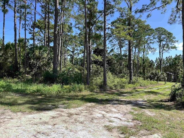 2176 E 98th Hwy, Carrabelle, FL 32322 - photo 9