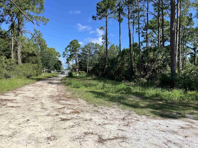 2176 E 98th Hwy, Carrabelle, FL 32322 - photo 6