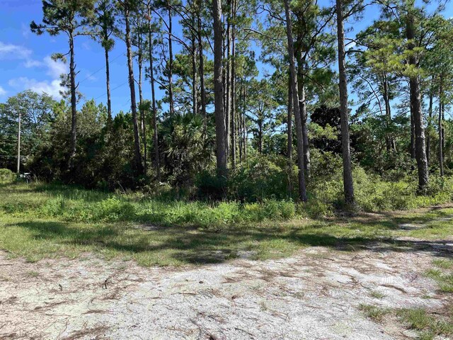 2176 E 98th Hwy, Carrabelle, FL 32322 - photo 8