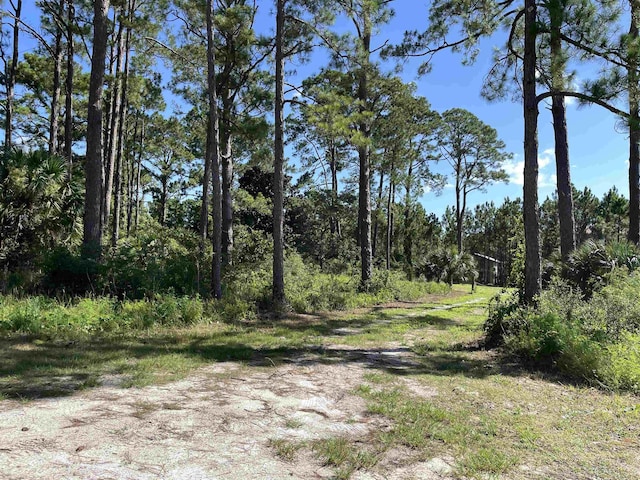 2176 E 98th Hwy, Carrabelle, FL 32322 - photo 10