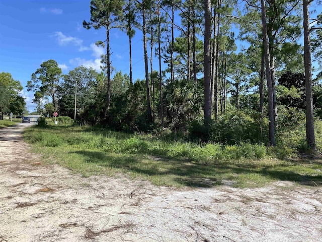 2176 E 98th Hwy, Carrabelle, FL 32322 - photo 7