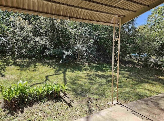 527/529 E 7th Ave -, Unit Tallahassee, FL 32303 - view of grassy yard