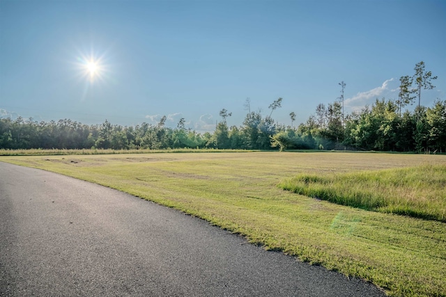 view of street with a rural view