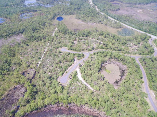 LOT2 Wilderness Way, Panacea, FL 32346