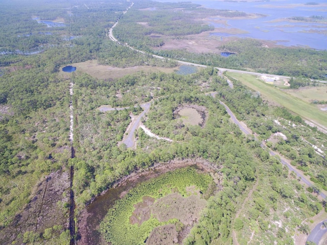 LOT2 Wilderness Way, Panacea, FL 32346