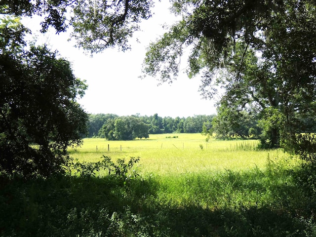 397 SW Owens Dr, Lake City, FL 32025 - photo 10