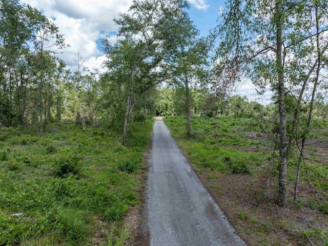 397 SW Owens Dr, Lake City, FL 32025 - photo 13