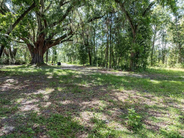 397 SW Owens Dr, Lake City, FL 32025 - photo 11