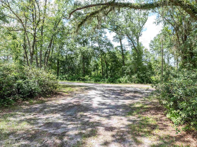 397 SW Owens Dr, Lake City, FL 32025 - photo 7