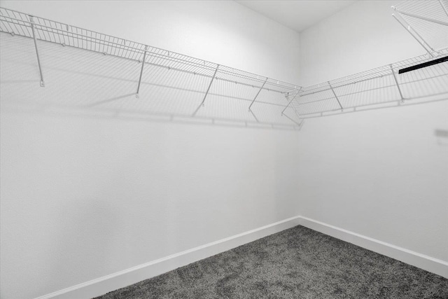 5756 Bascom Ln, Tallahassee, FL 32309 - walk in closet featuring dark carpet