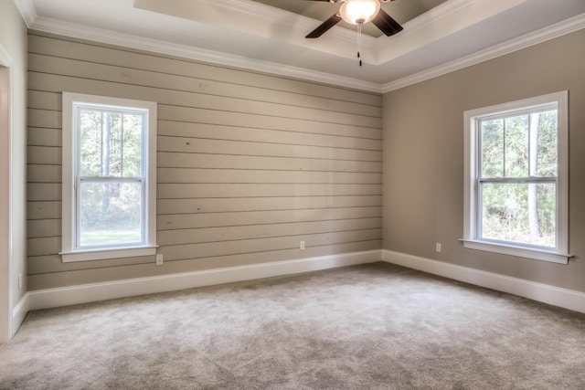 carpeted empty room featuring crown molding, ceiling fan, a healthy amount of sunlight, and a raised ceiling