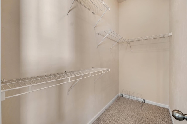 spacious closet with carpet floors