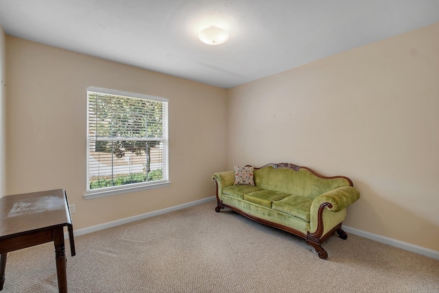 sitting room featuring light carpet