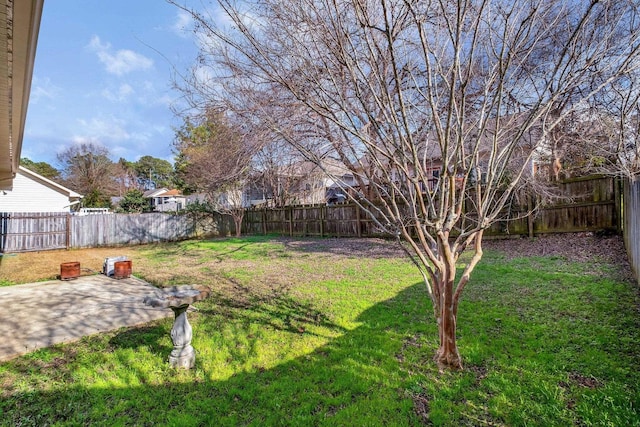 view of yard with a patio