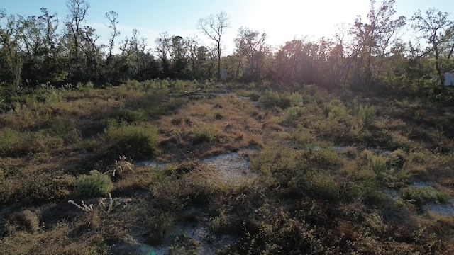 Listing photo 2 for LOT01 E Royal Oak Dr, Perry FL 32348