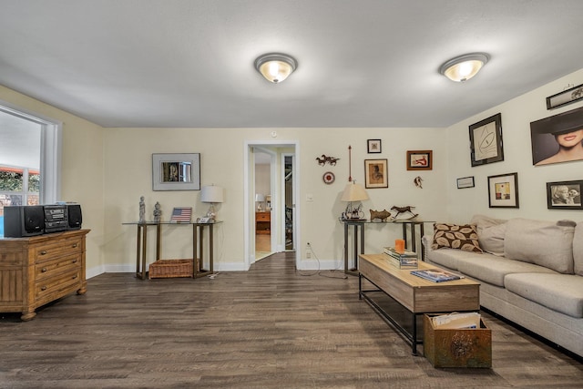 living room featuring dark hardwood / wood-style floors