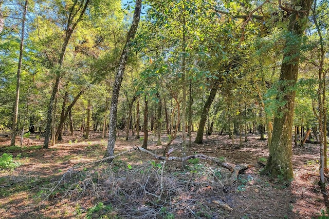 view of landscape