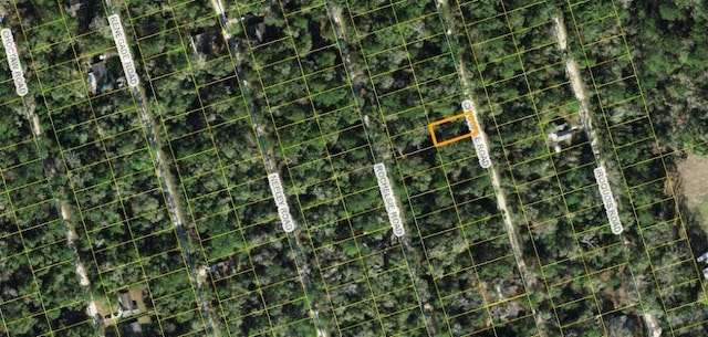X Chicopee Rd, Crawfordville, FL 32327