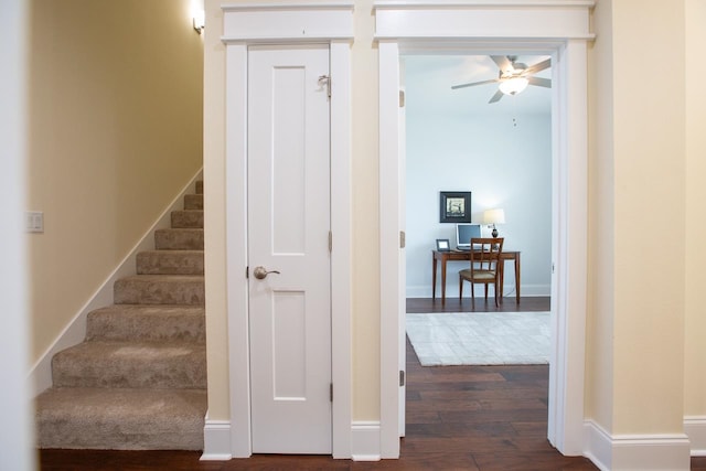 stairs featuring ceiling fan and wood-type flooring