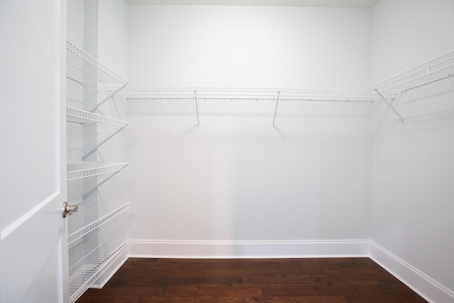 walk in closet with hardwood / wood-style floors