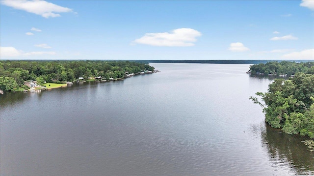 470 Tharpe Cir, Quincy, FL 32351 - photo 61